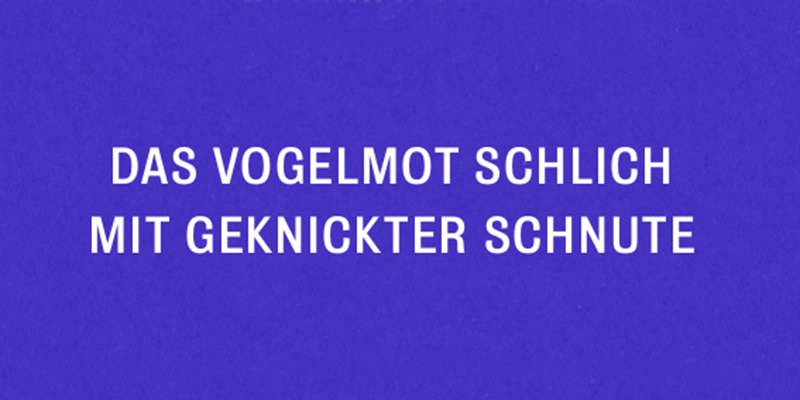 das vogelmot schlich mit geknickter schnute. zweiundzwanzig elfzeiler